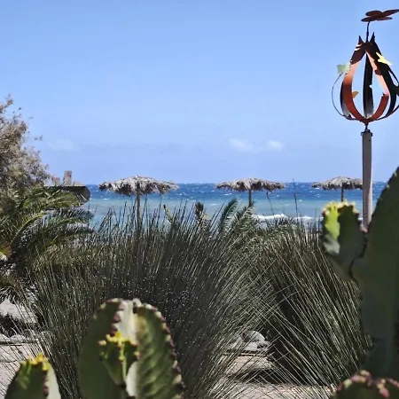 La Paloma